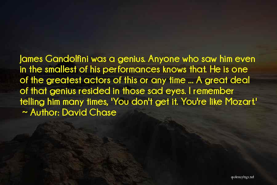 David Chase Quotes 595417