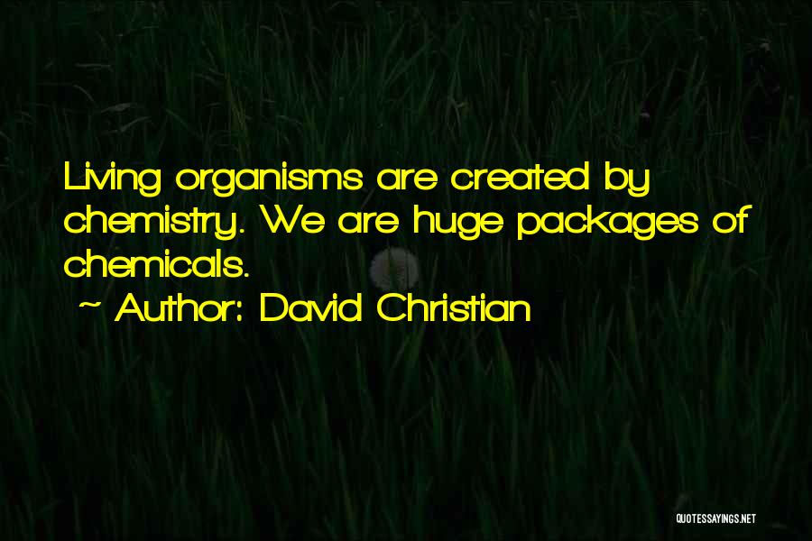 David Christian Quotes 1063657