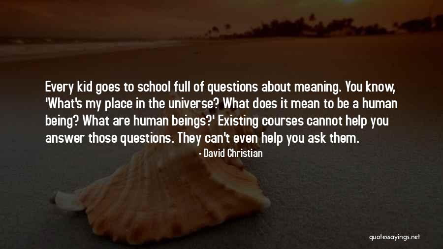 David Christian Quotes 1464060