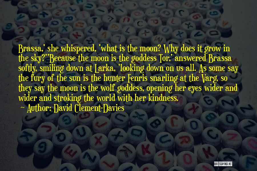 David Clement-Davies Quotes 300420