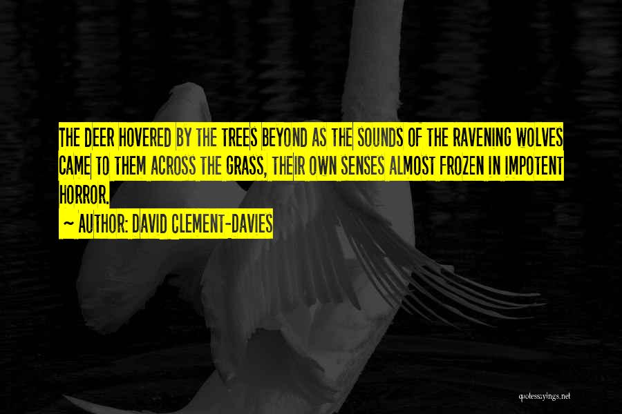 David Clement-Davies Quotes 510272