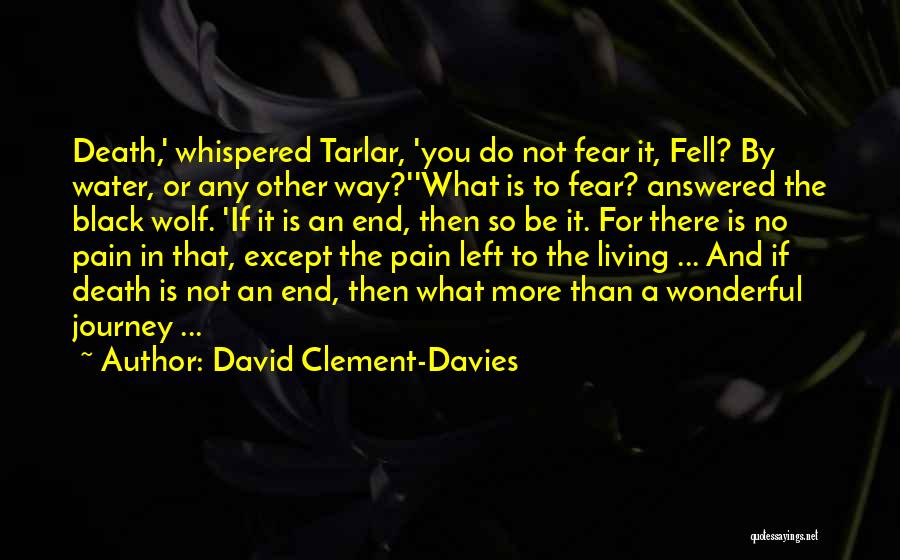 David Clement-Davies Quotes 710356