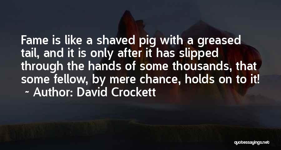 David Crockett Quotes 381856