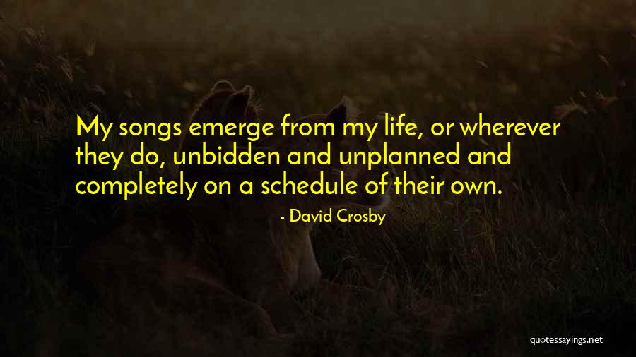 David Crosby Quotes 1479002