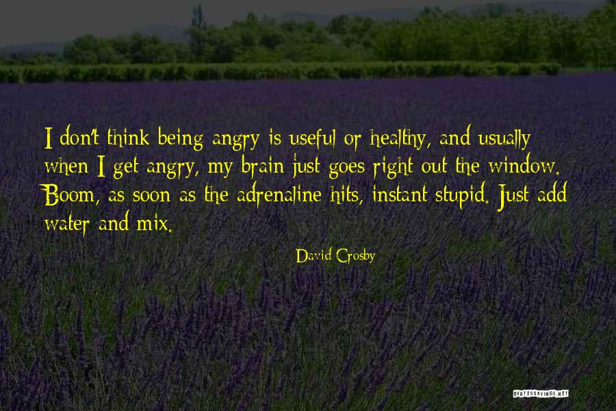 David Crosby Quotes 587450