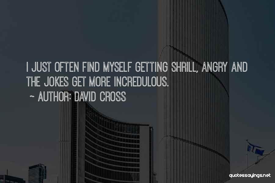 David Cross Quotes 1246702