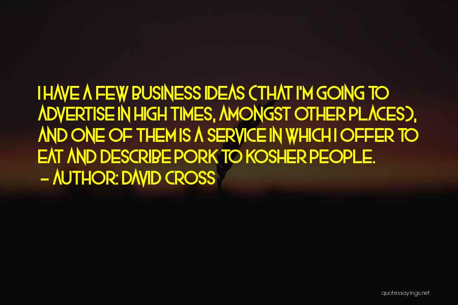 David Cross Quotes 1312371