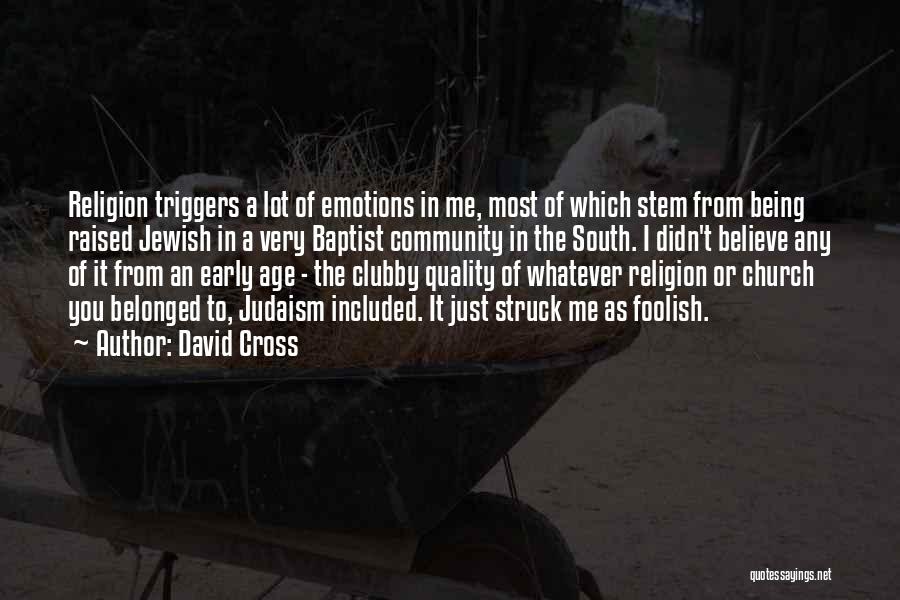 David Cross Quotes 144174
