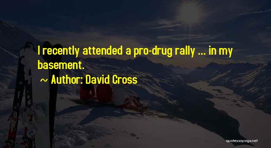 David Cross Quotes 1699359