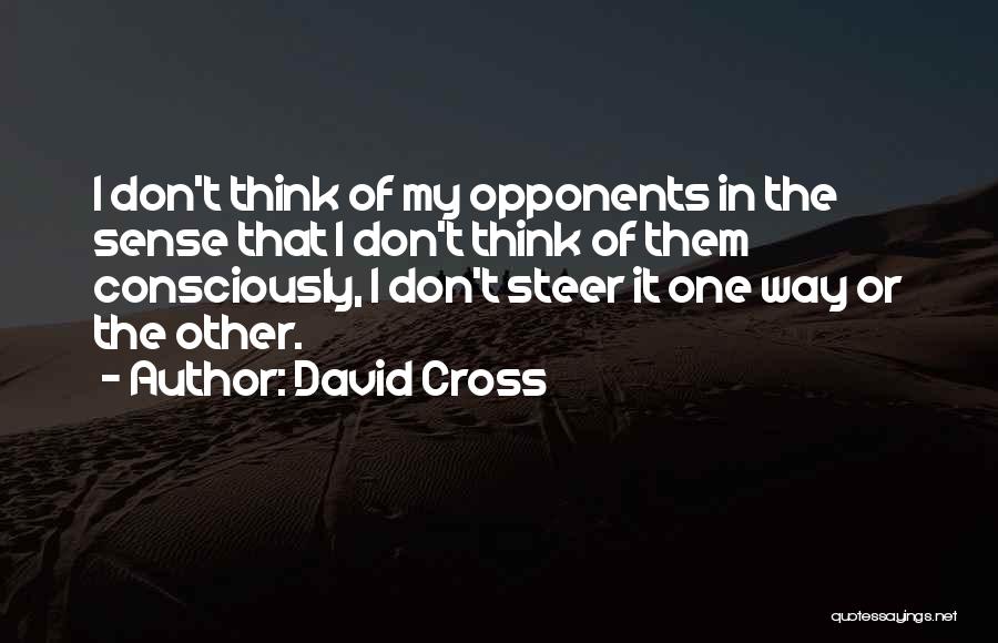 David Cross Quotes 1732674