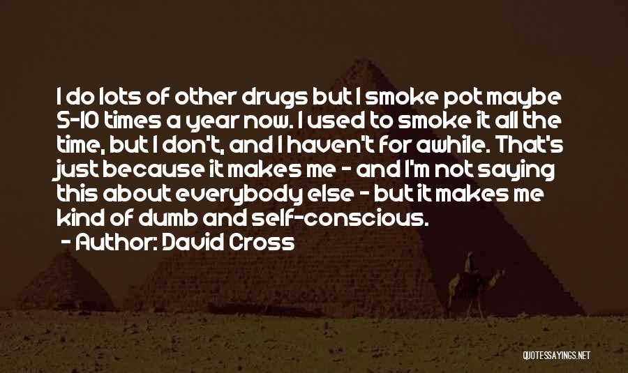 David Cross Quotes 1872832