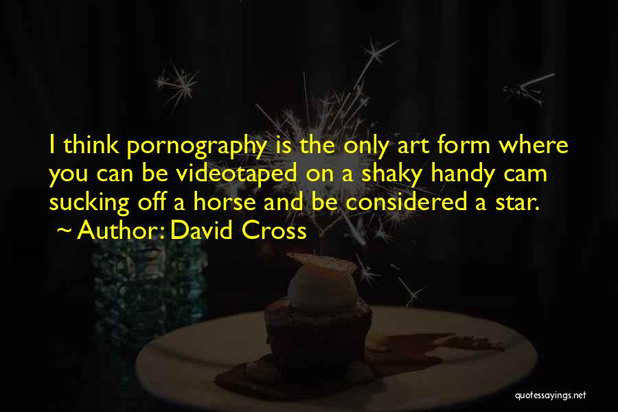 David Cross Quotes 2021893