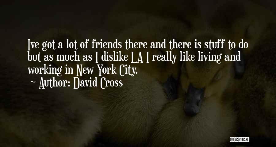 David Cross Quotes 2061278