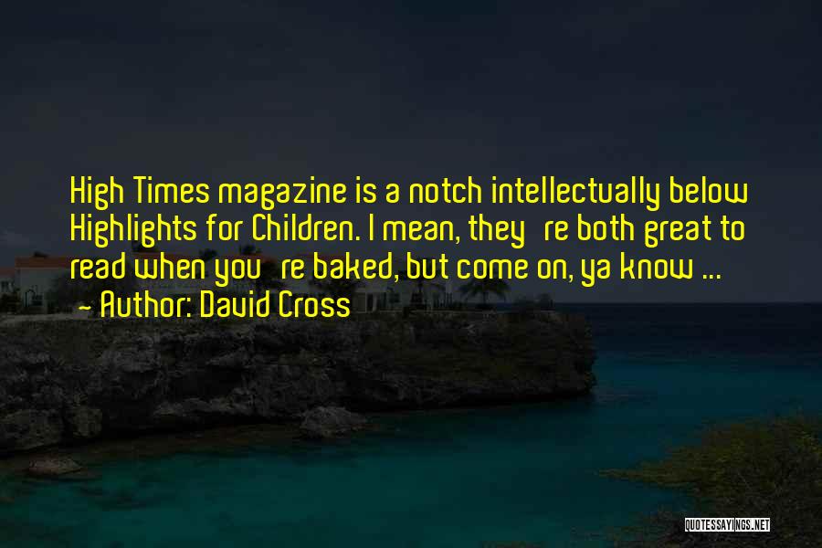 David Cross Quotes 2218685