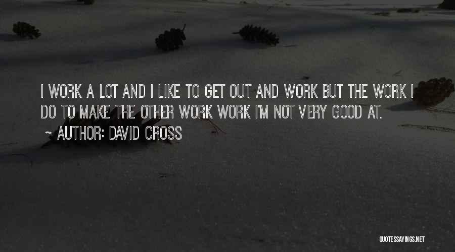 David Cross Quotes 314238