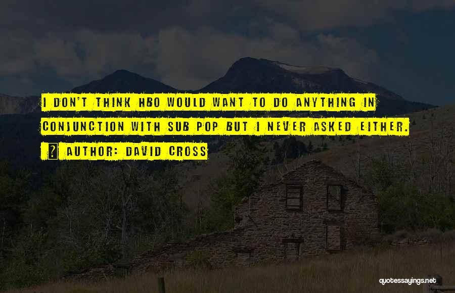 David Cross Quotes 335041