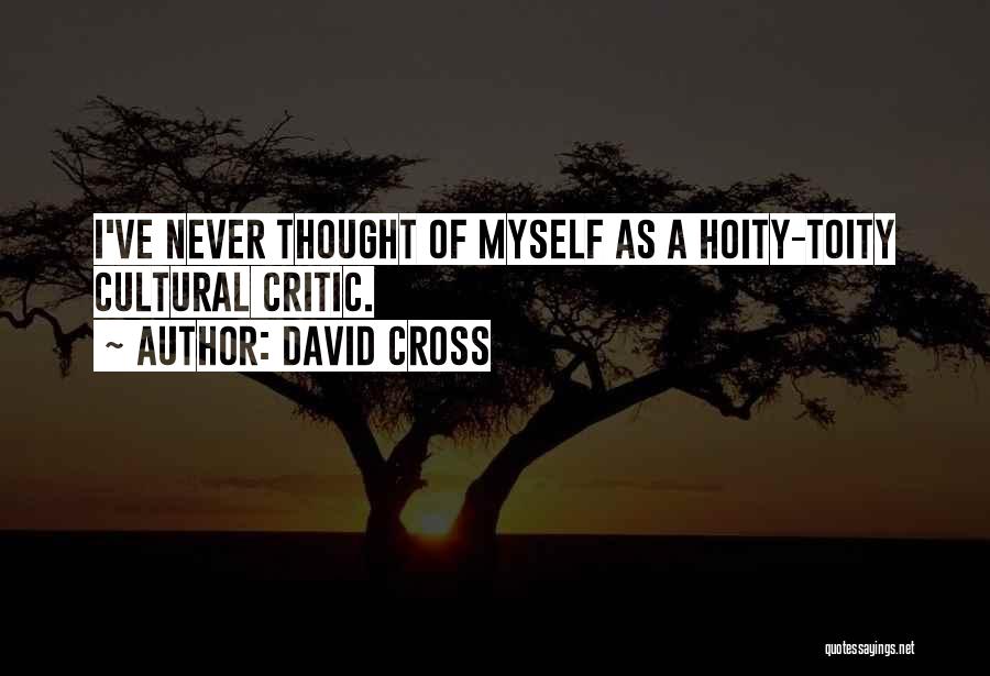 David Cross Quotes 623892