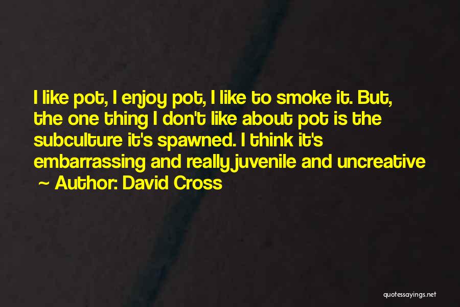 David Cross Quotes 723049