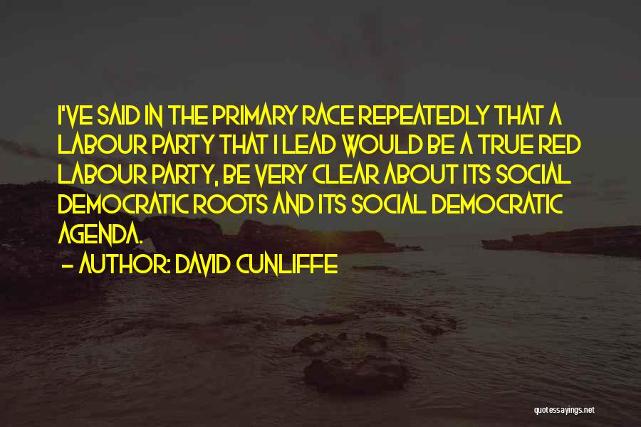 David Cunliffe Quotes 774748