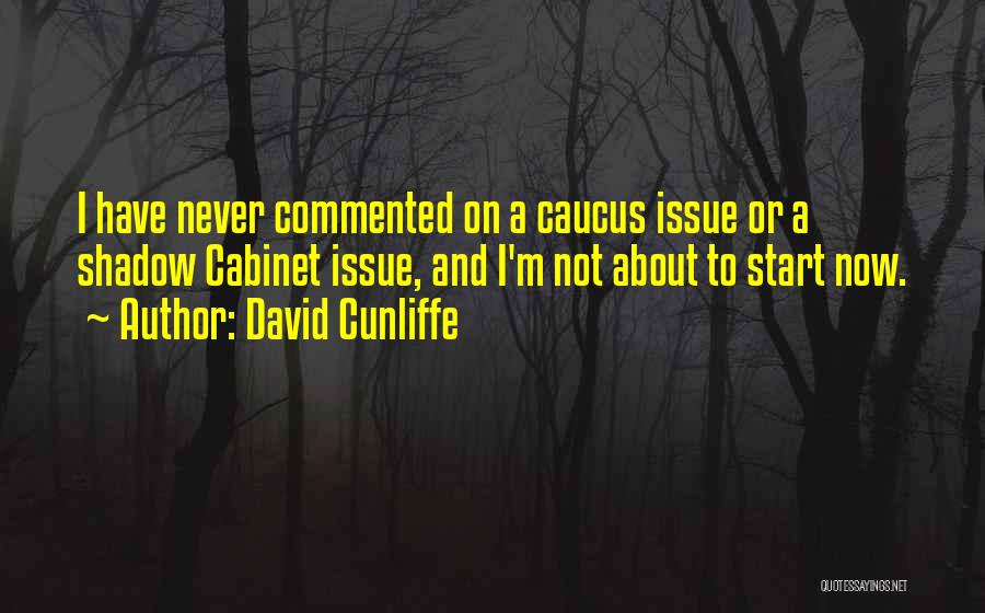 David Cunliffe Quotes 962698