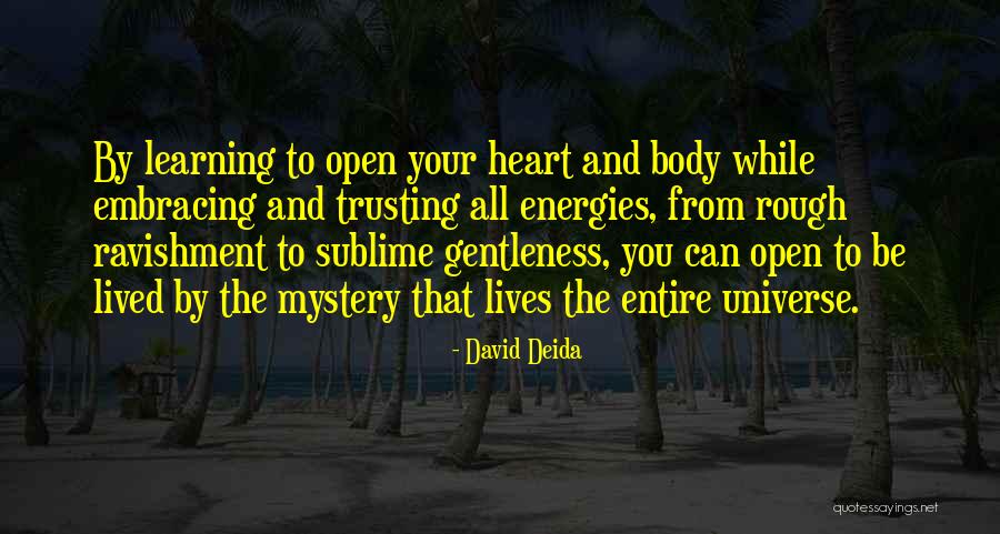 David Deida Quotes 1362334 David Deida Quotes 1362334