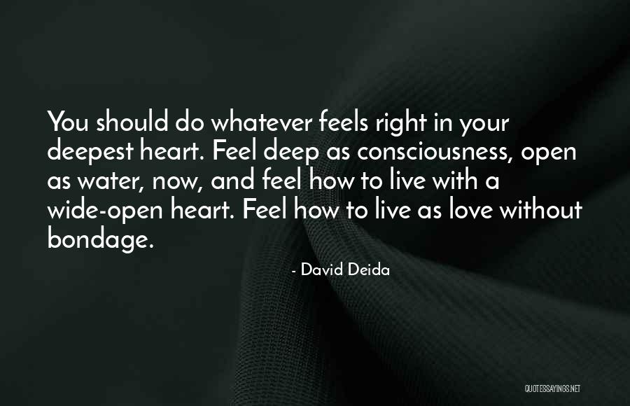 David Deida Quotes 1683093 David Deida Quotes 1683093