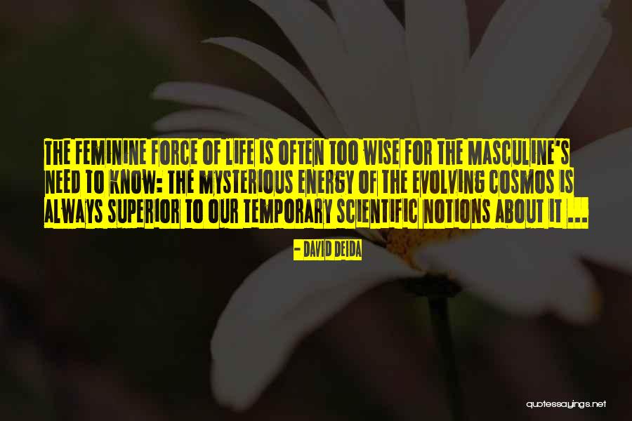 David Deida Quotes 529532 David Deida Quotes 529532