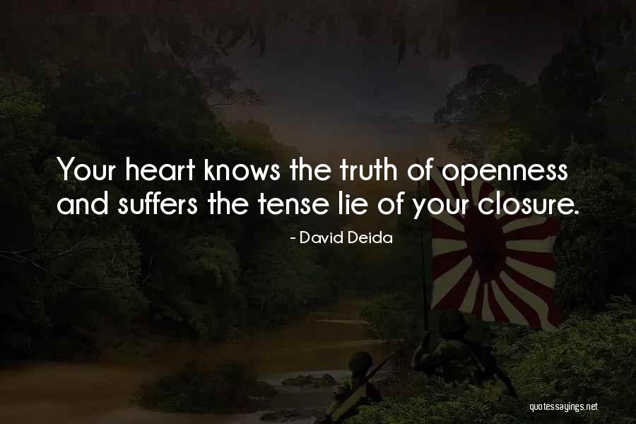 David Deida Quotes 530717
