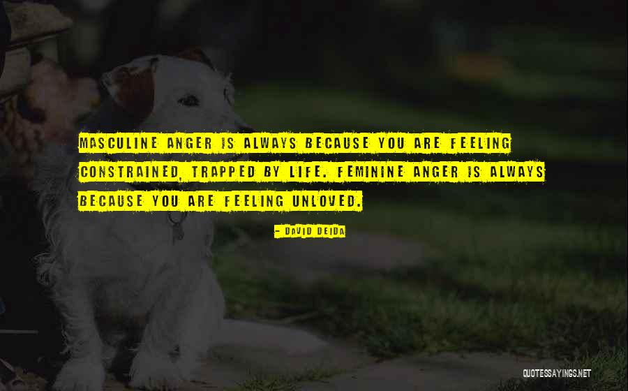 David Deida Quotes 561132 David Deida Quotes 561132