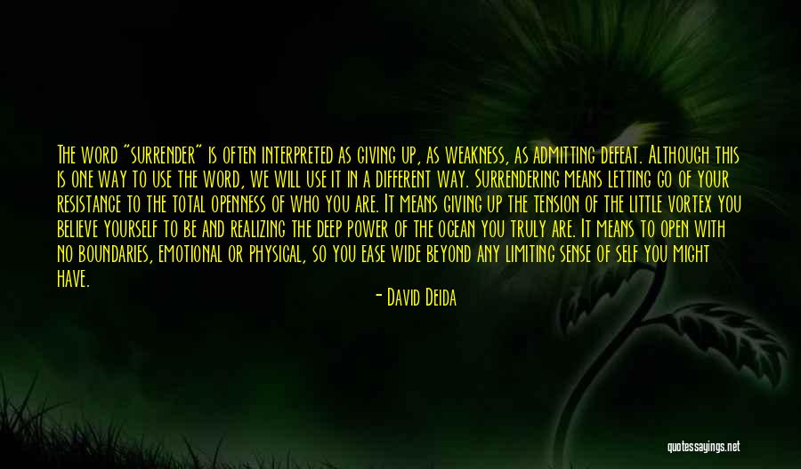 David Deida Quotes 660006 David Deida Quotes 660006