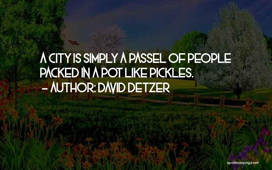 David Detzer Quotes 618538