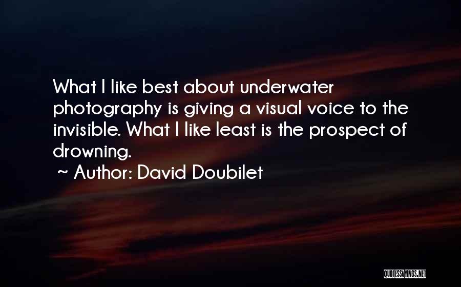 David Doubilet Quotes 114084