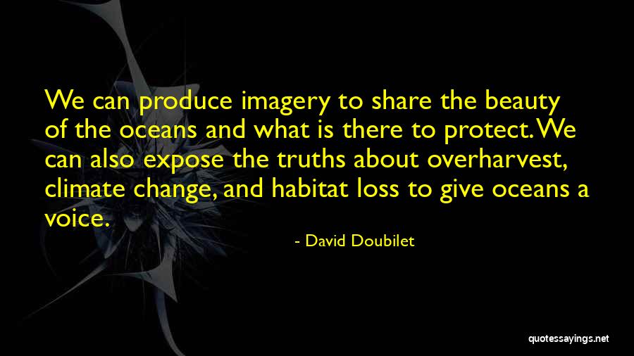 David Doubilet Quotes 1729899