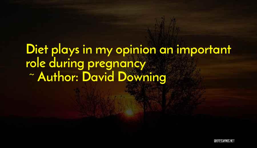 David Downing Quotes 1942723