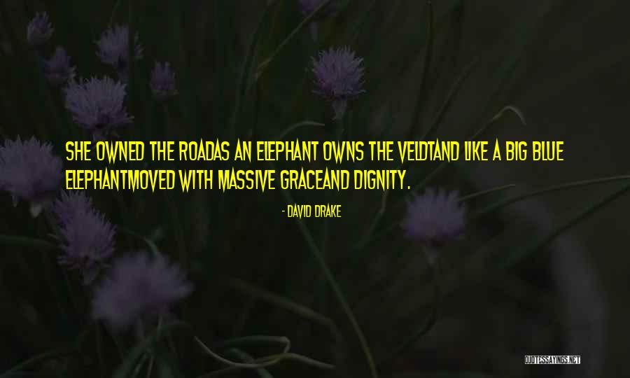 David Drake Quotes 2224264 David Drake Quotes 2224264
