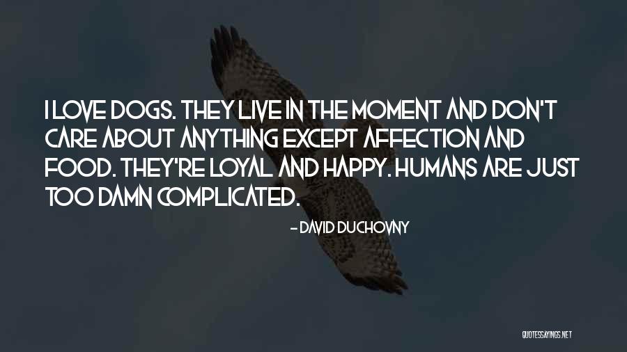 David Duchovny Quotes 1032691 David Duchovny Quotes 1032691