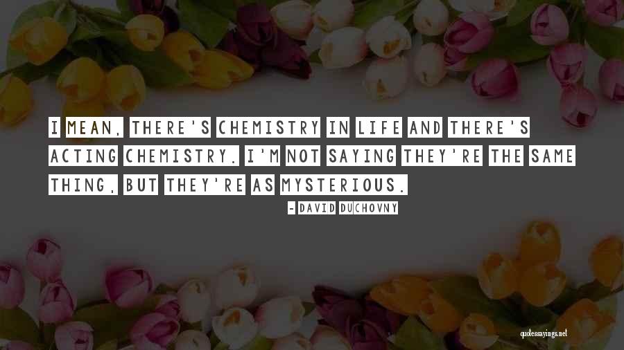 David Duchovny Quotes 1652221 David Duchovny Quotes 1652221