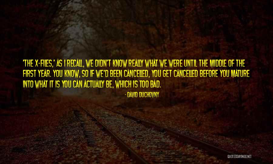 David Duchovny Quotes 691852 David Duchovny Quotes 691852