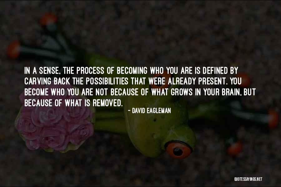 David Eagleman Quotes 1235984 David Eagleman Quotes 1235984