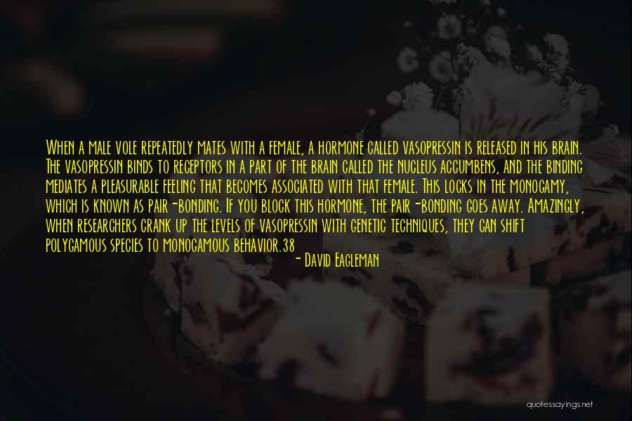 David Eagleman Quotes 1399183 David Eagleman Quotes 1399183