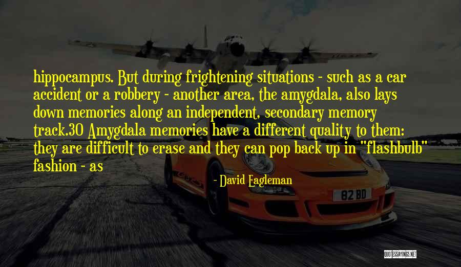 David Eagleman Quotes 1630581 David Eagleman Quotes 1630581