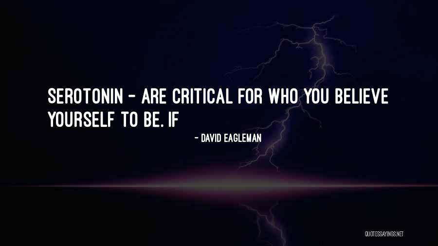 David Eagleman Quotes 1733846 David Eagleman Quotes 1733846