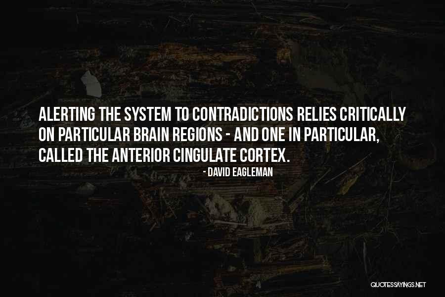 David Eagleman Quotes 1745832 David Eagleman Quotes 1745832