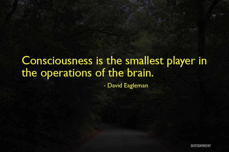David Eagleman Quotes 1909959 David Eagleman Quotes 1909959