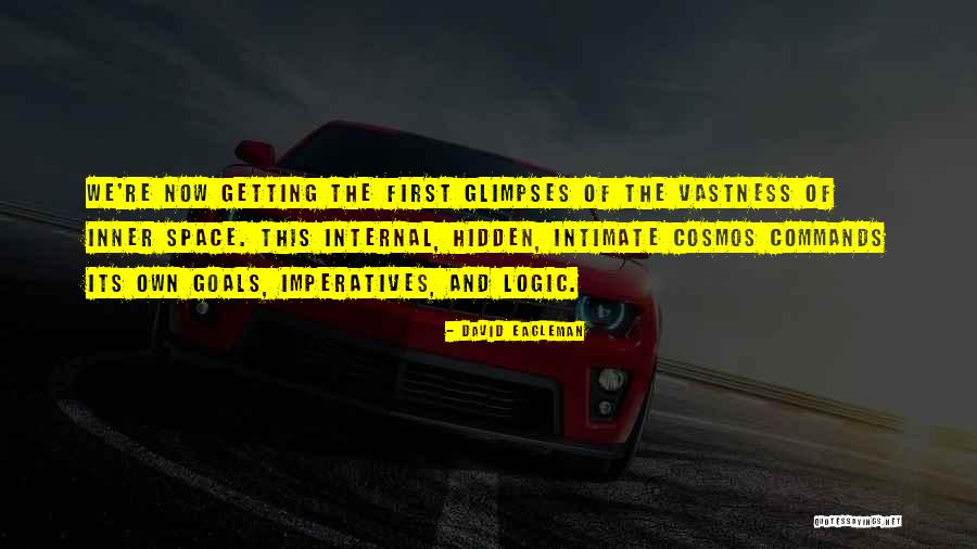 David Eagleman Quotes 338617 David Eagleman Quotes 338617