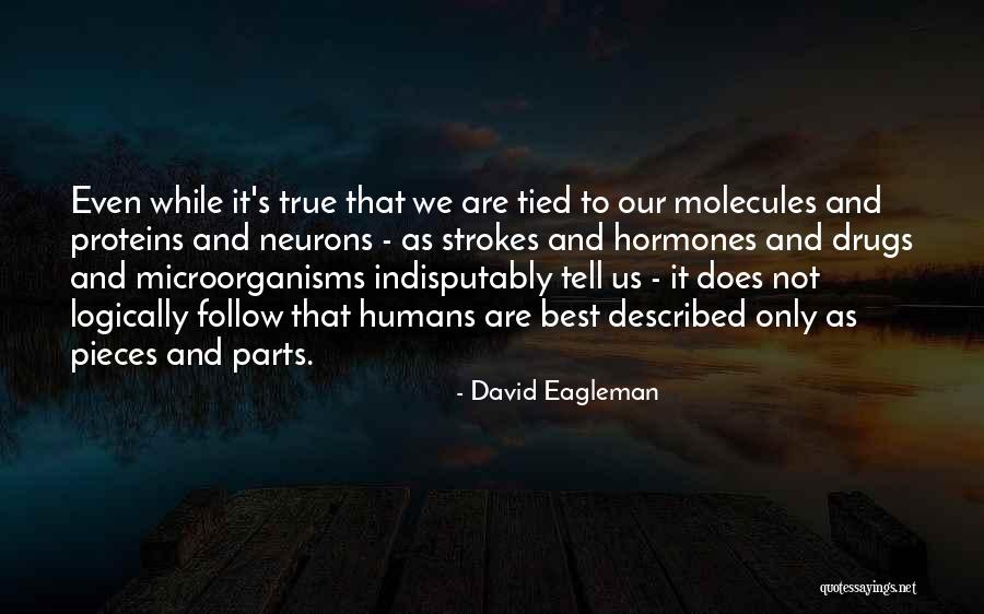 David Eagleman Quotes 393034 David Eagleman Quotes 393034