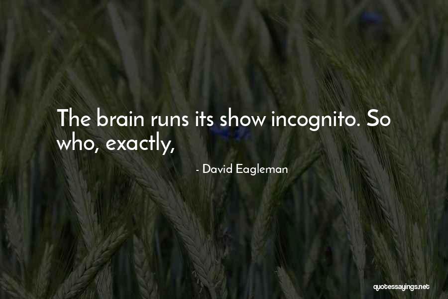 David Eagleman Quotes 494434 David Eagleman Quotes 494434