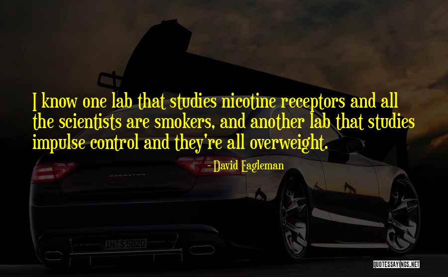 David Eagleman Quotes 975021 David Eagleman Quotes 975021