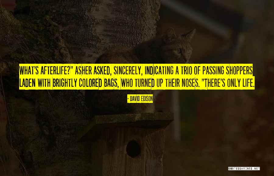 David Edison Quotes 1271532 David Edison Quotes 1271532