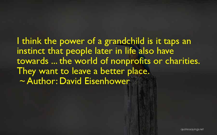 David Eisenhower Quotes 2226113